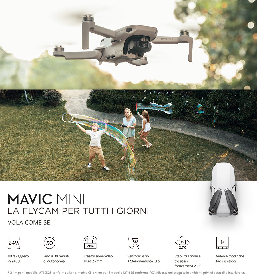 mavic mini