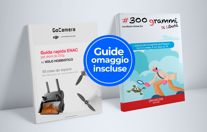 mavic mini regolamento guide