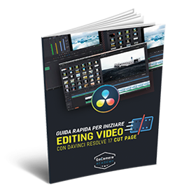 guida davinci resolve cut page