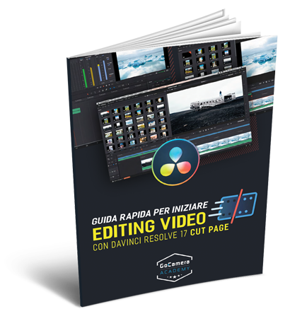 guida davinci resolve