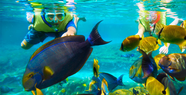 GoPro snorkeling