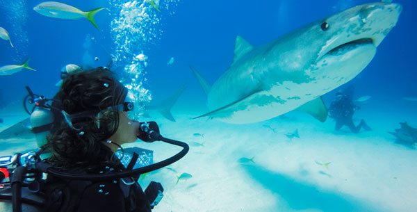 GoPro Subacquea